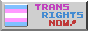 trans rights now button